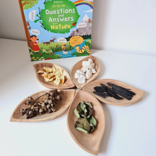 Qtoys Leaf Tray Set of 5