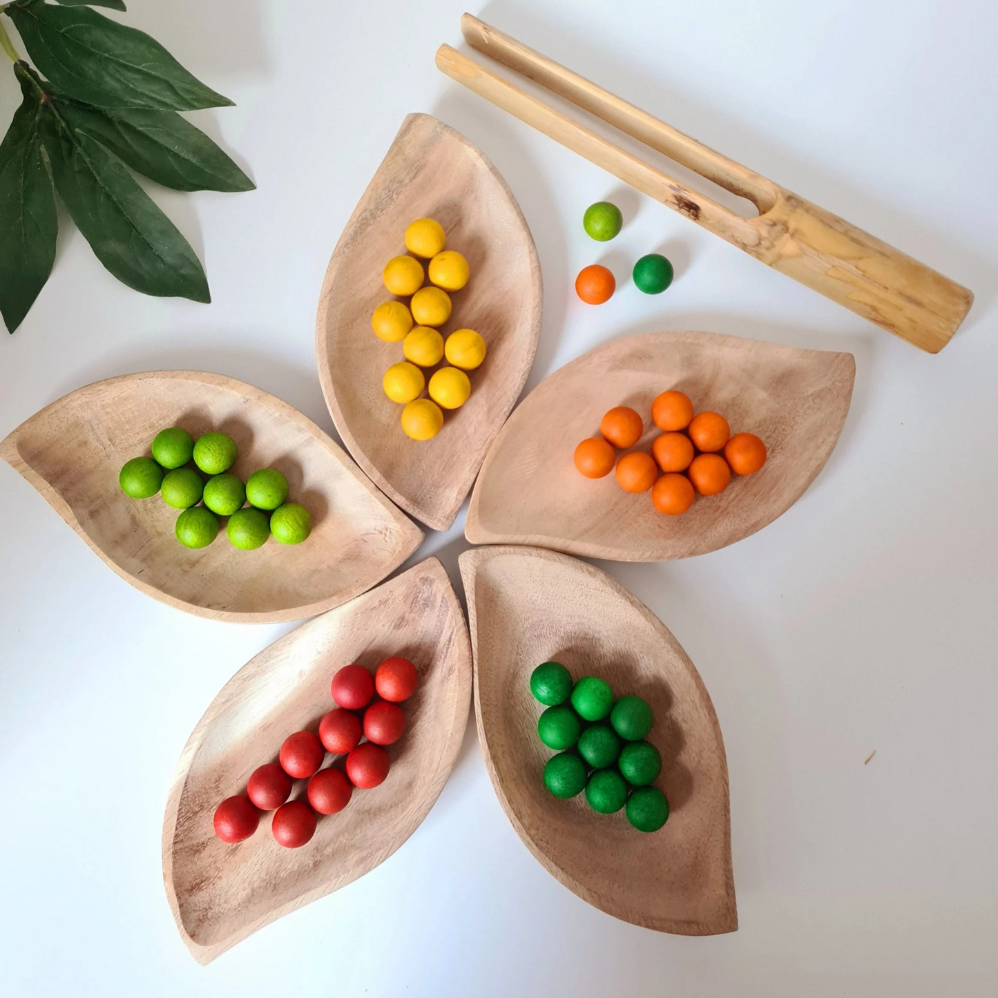 Qtoys Leaf Tray Set of 5