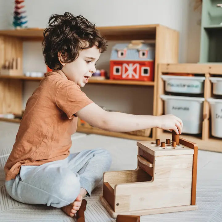 Qtoys Wooden Montessori Cylinder Post Box