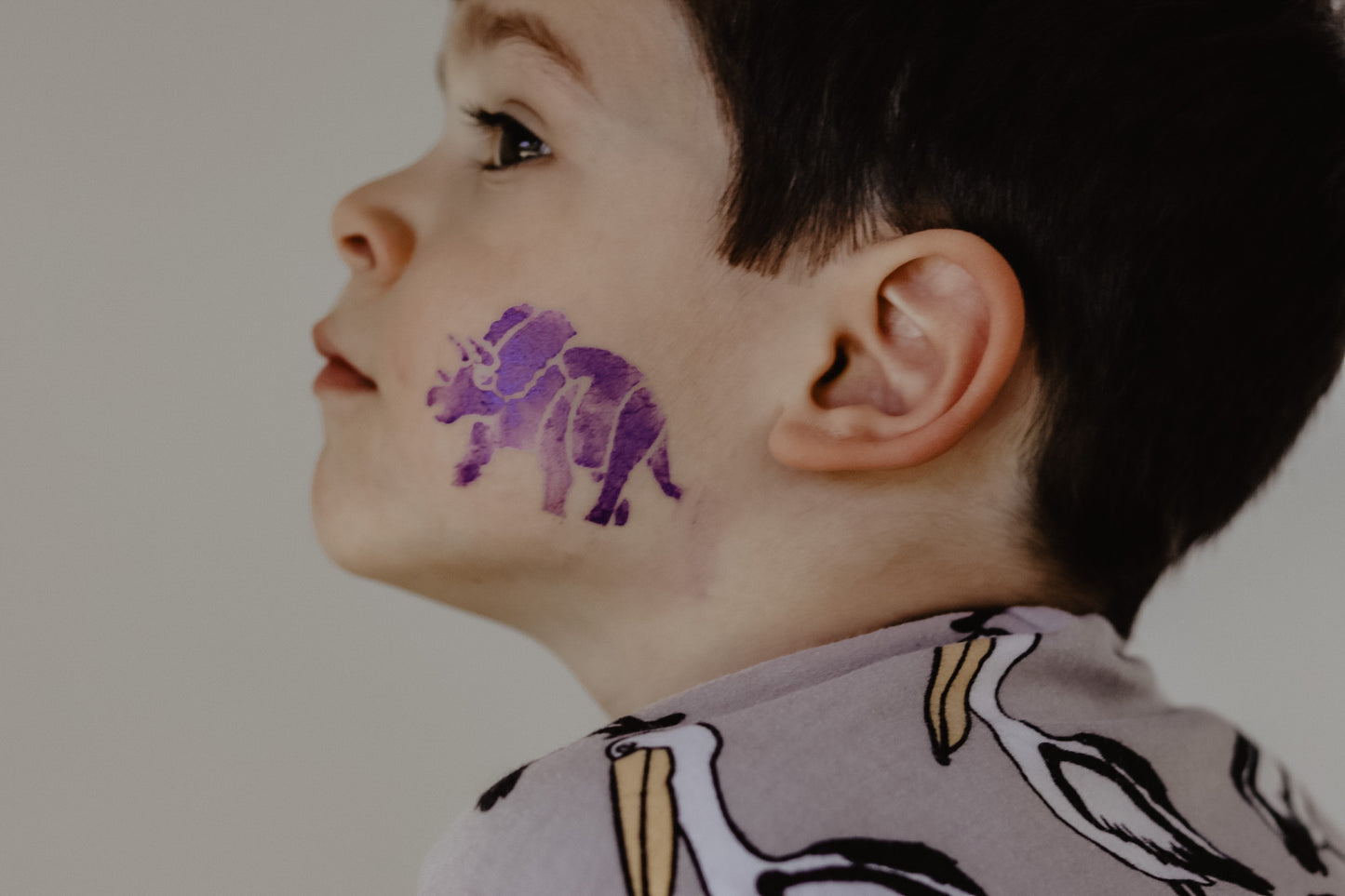 Oh Flossy Reusable Adhesive Face Paint & Makeup Stencils