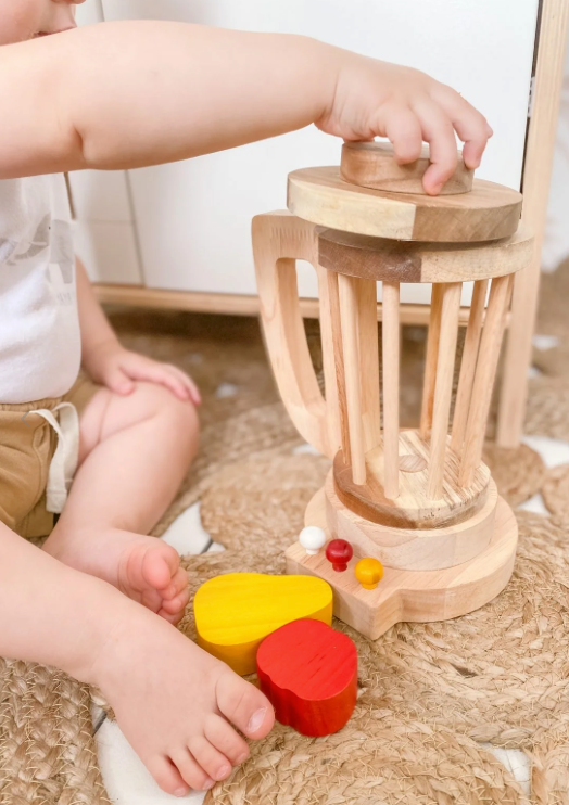 Qtoys Wooden Blender